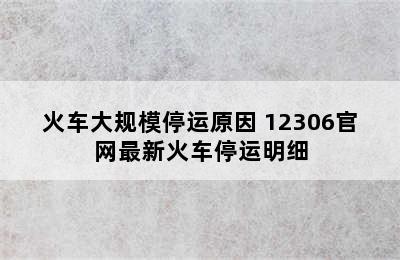 火车大规模停运原因 12306官网最新火车停运明细